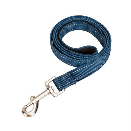 webbing dog leads
