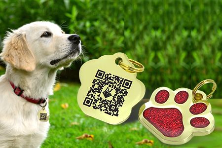Pet ID Tag Produced by Brilliant