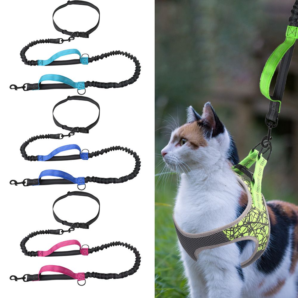 Wholesale Cat Bungee Leash Dog Beds Blankets & Mats for Dogs Pet