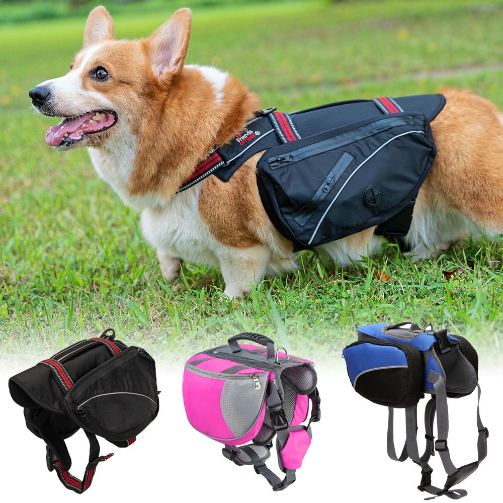 dog backpack harness cute