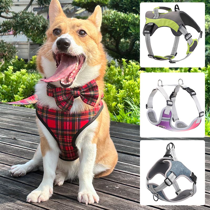 Dog Harnesses Wholesale Dog Harness Manufacturer. Wholesale Manufacturer of Dog and Cat