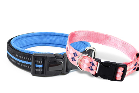 What's The Components Of Pet Collars? - FAQs | Pet Products and Pet