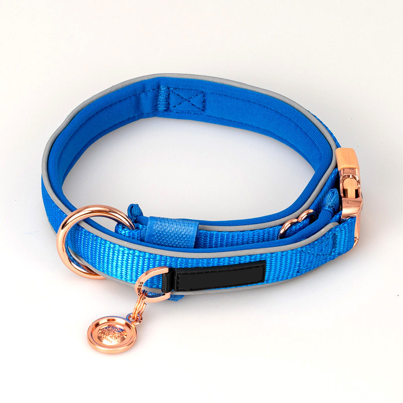 Padded Dog Collar Pet Products and Pet Accessories Manufacturer Brilliant