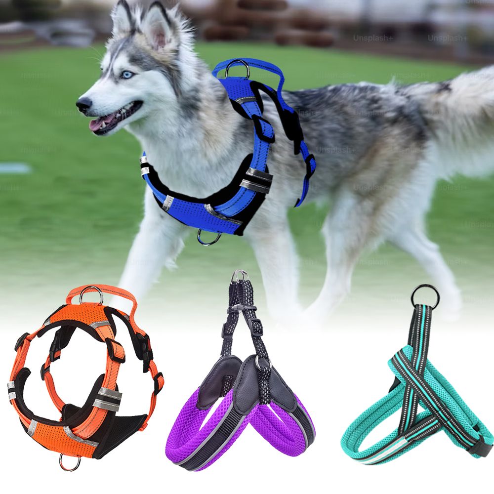 Wholesale Reflective Dog Harness Night Walk Dog Harness Wholesale Dog Tags, Leashes and