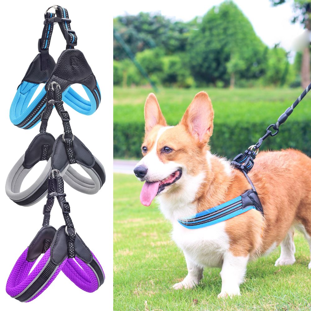 Wholesale Reflective Dog Harness Night Walk Dog Harness Wholesale Dog Tags, Leashes and