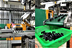 Nail Polish Plastic Caps Checking on Production