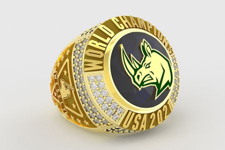棒球冠軍團隊姓名珠寶戒指 - 美國棒球隊標誌鍍金冠軍戒指
