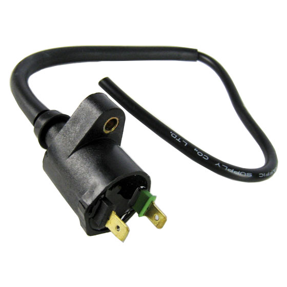 Motorcycles Ignition Coil Automotive Ignition Coil Manufacturer