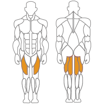 Li-Fit Leg Extension/Leg Curl - Gruppi muscolari - Quadricipiti, muscoli posteriori della coscia