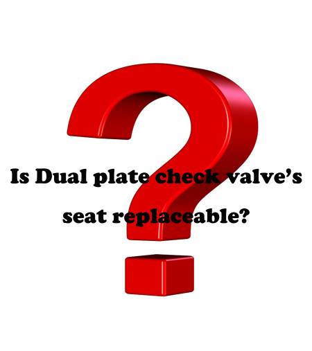 Q. Is Dual Plate Check Valve’s Seat Replaceable? - Is Dual plate check valve’s seat replaceable?