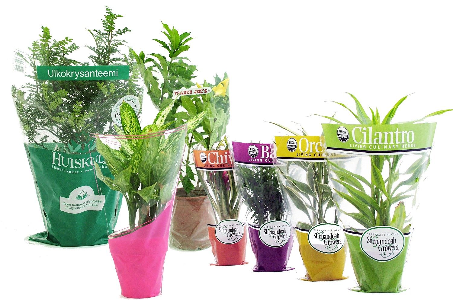 CPP Flower Sleeves Flower Wrapping for foliage plants, potted flowers and potted plantss. Flower bags are available in Various designs, Patterns, Colors and Shapes. Sleeves can be printed with customers own logos