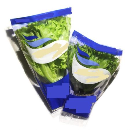 Biodegradable CPP Plant Sleeve printed with farm logo for herbs, living salad plants, bouquet flower and potted plants.