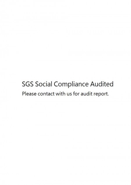 SGS Social Compliance