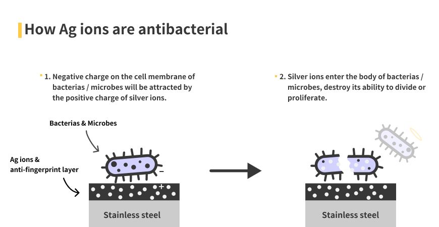 How Ag ions are antibacterial