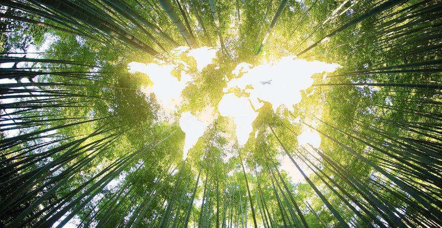 Lienchy填充金属多样化服务