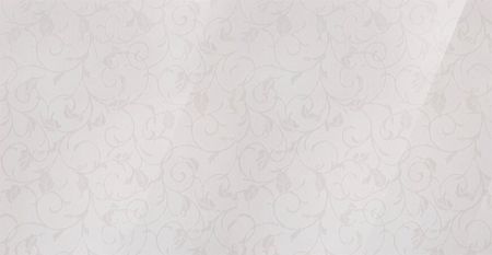 光泽饰面镜(PVC + PET)预涂层 - 巴洛克式叶片 - LCM-H150光泽饰面镜(PVC + PET)包覆金属 - 巴洛克式叶片