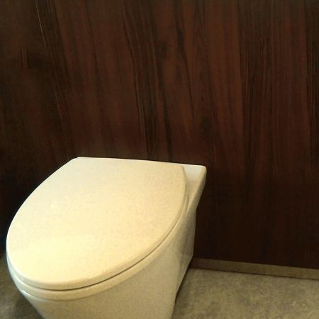 用于建筑材料的层压钢产品 - 木材纹理墙板