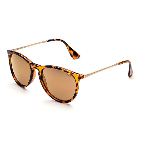 Round Wayfarer Fashion Sunglasses 