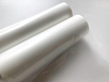 离型膜 - 离型膜可加工用于包装、印刷。
