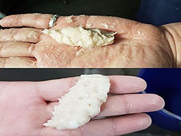 फिश पेस्ट बार बनाना