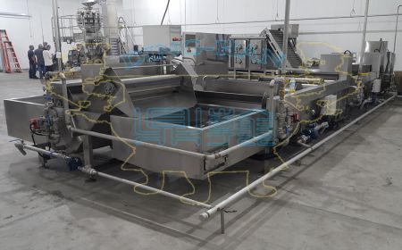 Ding-HanKundenspezifische Fishball-Produktionslinie