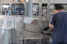 Ding-HanKontinuierliche Bratmaschine