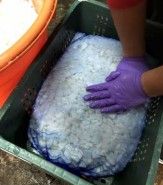 Le processus de radis mariné à la main prend beaucoup de temps