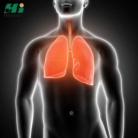 Respiratory Products - Respiratory