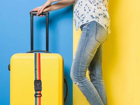 Multicolor Luggage Strap