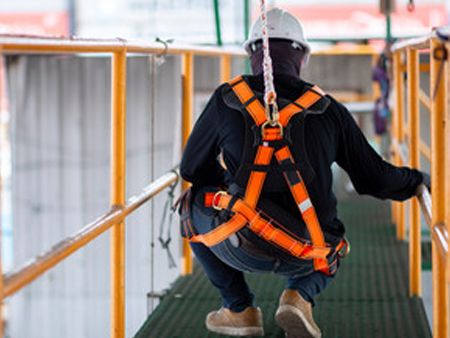 Safety harness system