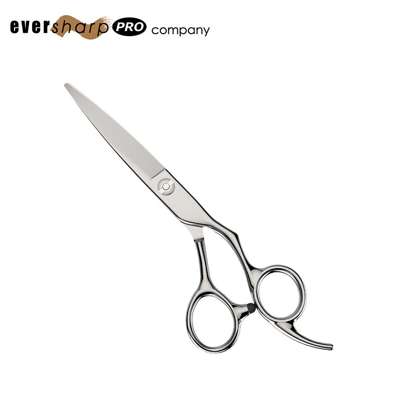 Professional Japanese 440C Stainless Steel Hair Stylist Scissors Hair