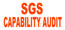 SGS CTS Capability Audit logo